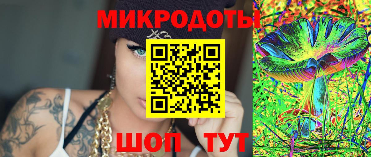 Бор  Псилоцибиновые грибы Psilocybine cubensis  Вход с VPN 